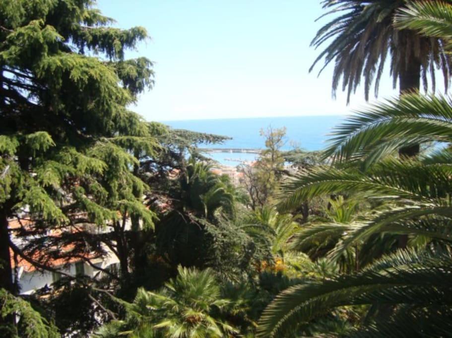 Mini Accommodation In Sanremo Liguria Extérieur photo